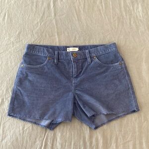Carve designs corduroy shorts, super cute.